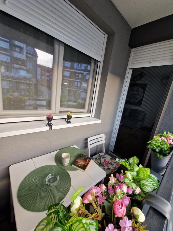Apartman Astra スレムスカ・ミトロヴィツァ エクステリア 写真